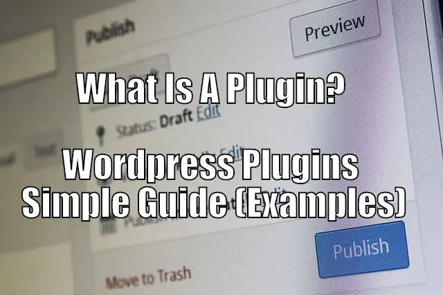what is a wordpress plugin